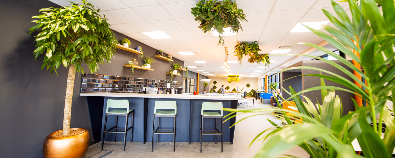 A new office for a new way of working