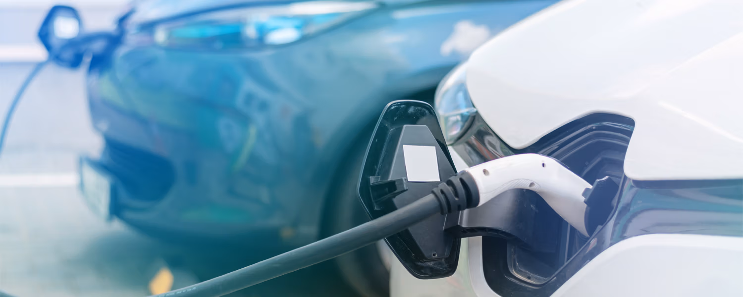 EV Market Insight