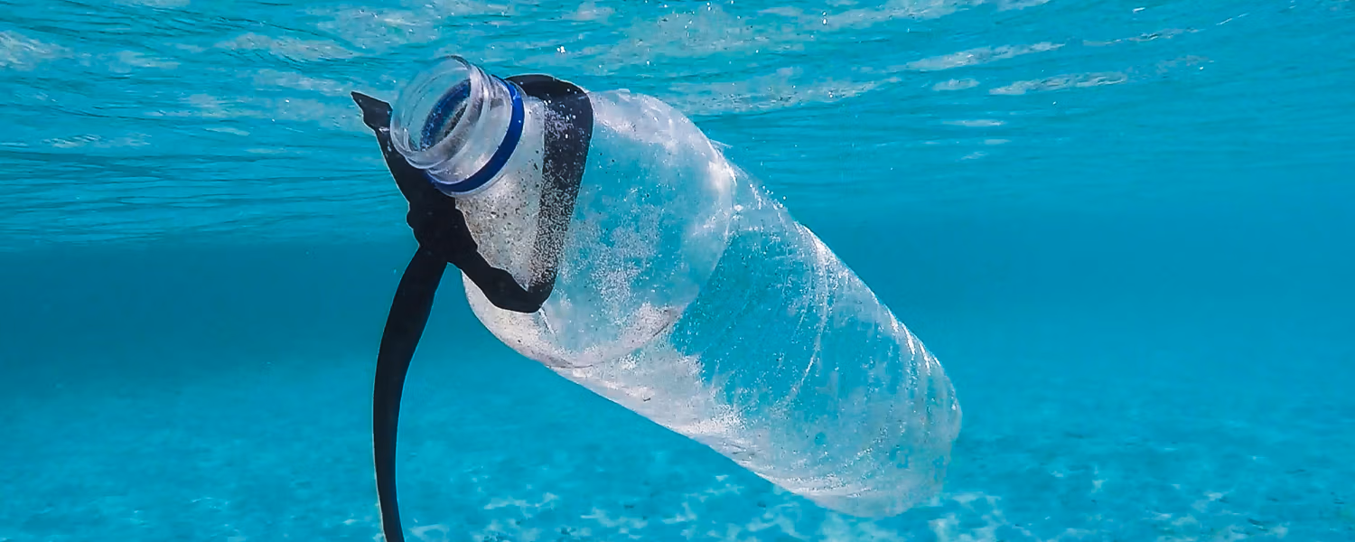 Plastic Free July – Top Tips for Reducing Consumption