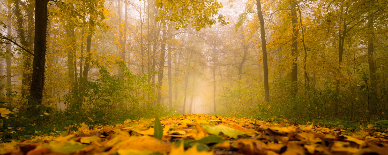 Autumn Statement 2023 – Energy Highlights